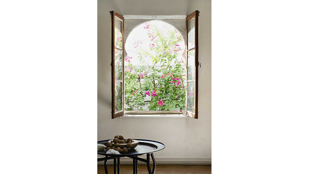 | Tangier Window Portrait